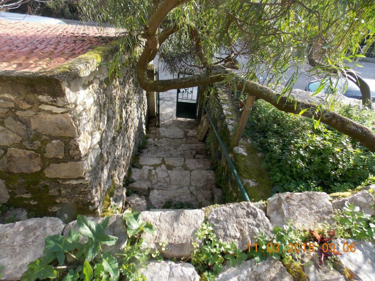 Almond Trees Cottage Divarata ภายนอก รูปภาพ