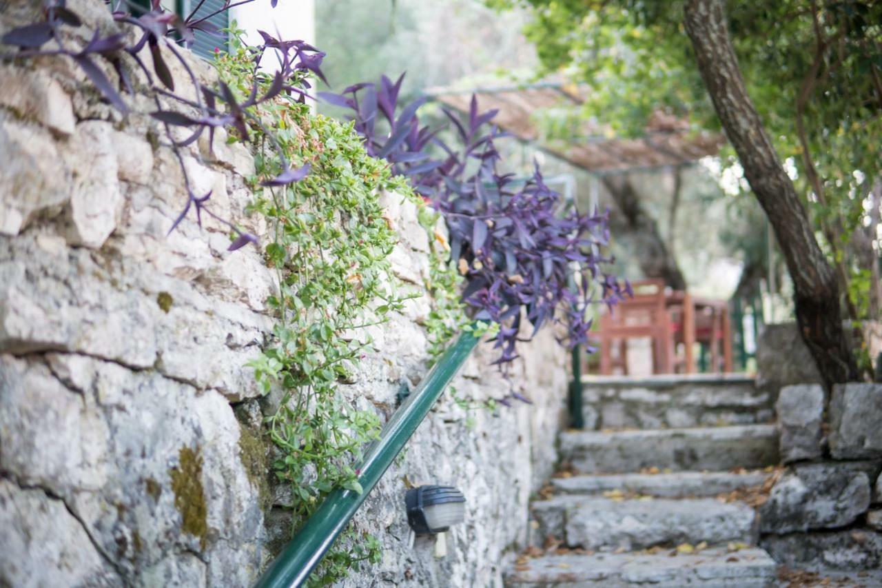 Almond Trees Cottage Divarata ภายนอก รูปภาพ
