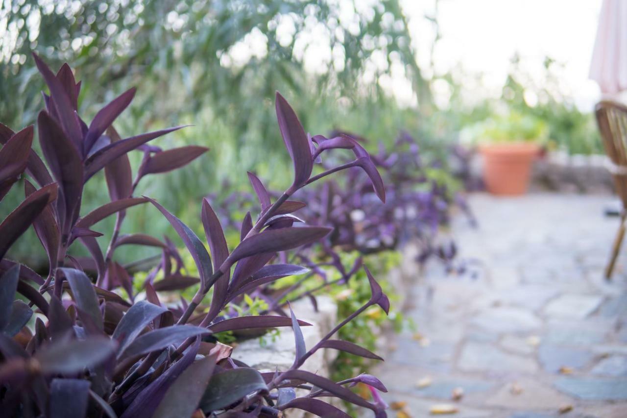 Almond Trees Cottage Divarata ภายนอก รูปภาพ