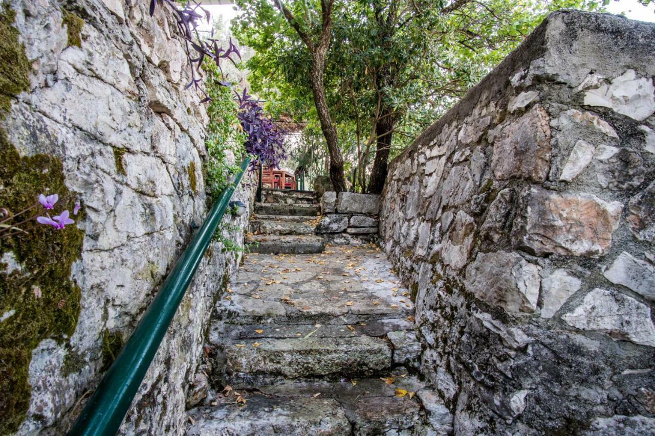 Almond Trees Cottage Divarata ภายนอก รูปภาพ